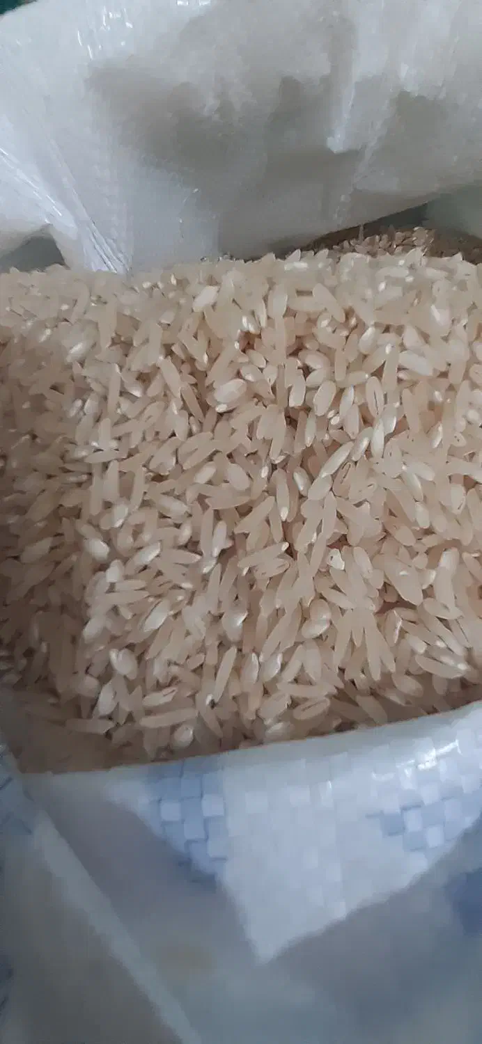 برنج فجر|خوردنی و آشامیدنی|گیلان غرب, |دیوار