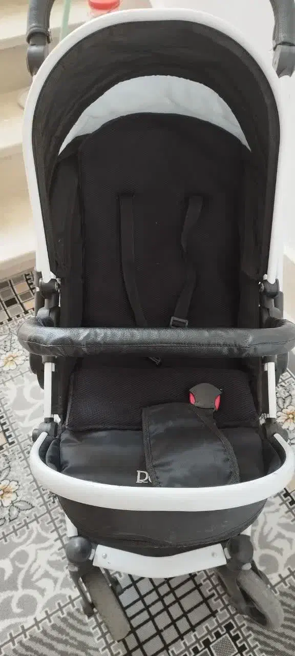 کالسکه دلیجان|کالسکه و لوازم جانبی|شاندیز, |دیوار