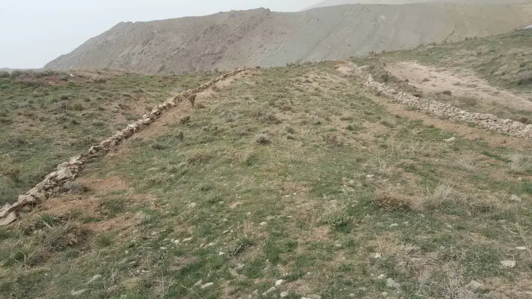 زمین به متراژ ۲۵۰متر|فروش زمین و ملک کلنگی|آسارا, |دیوار