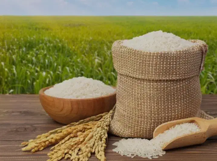 برنج ازشما فروش ازما|خوردنی و آشامیدنی|اردبیل, |دیوار