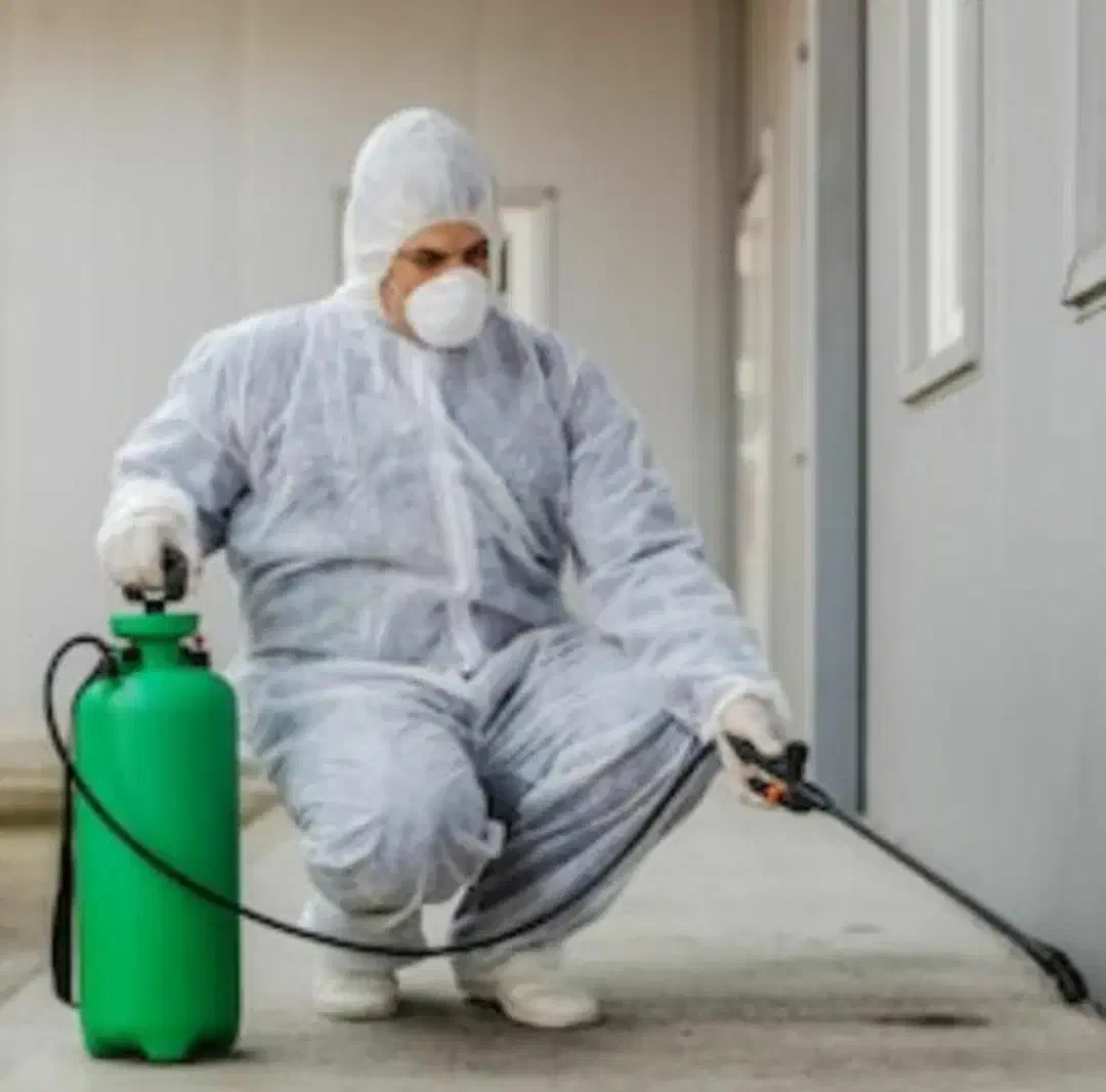 سمپاشی حشرات خانگی دفع سوسک ساس موریانه سم پاشی|خدمات نظافت|اهواز, کیانشهر|دیوار
