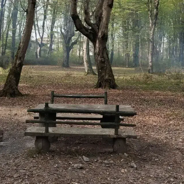 پرستاری و خدمات منزل|استخدام سرایداری و نظافت|اصفهان, بیدآباد|دیوار