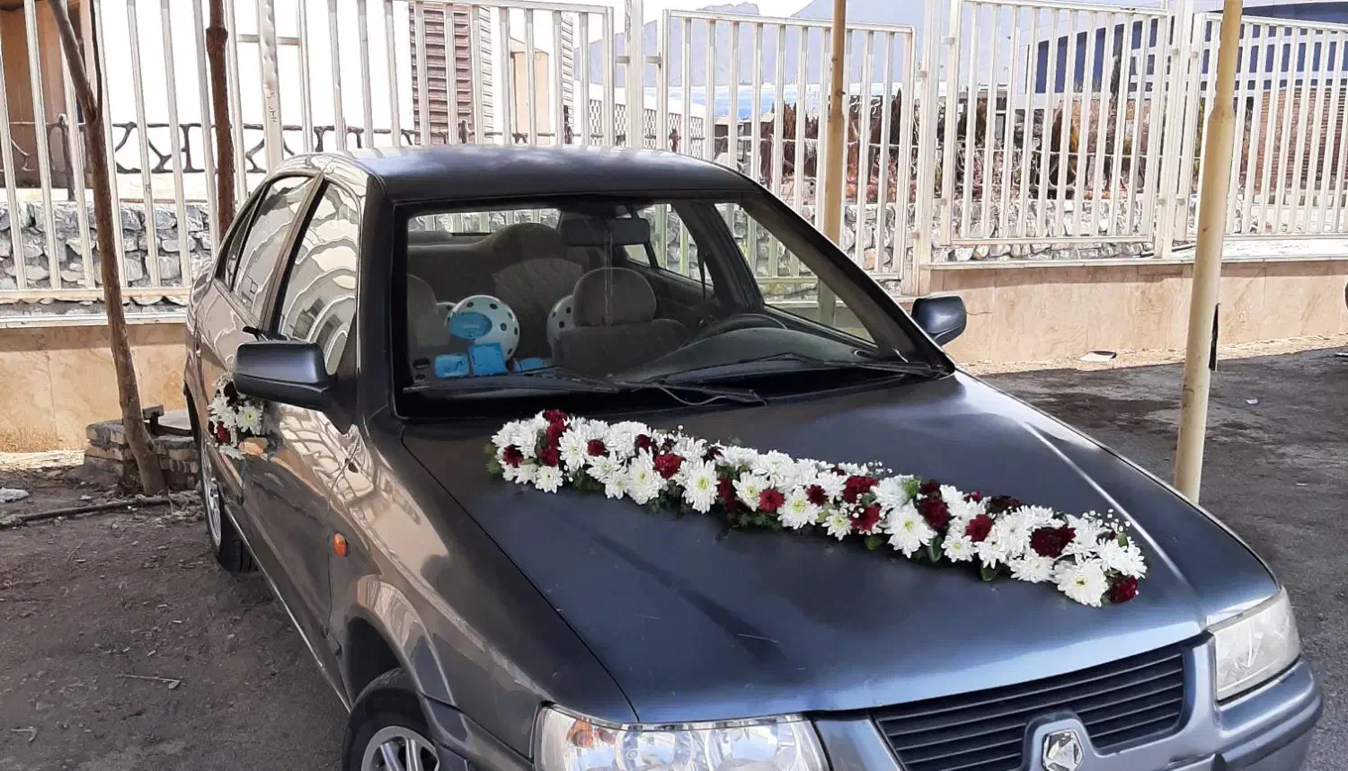 عرضه مستقیم گلدون و گیاه‌های تزئینی تازه|گل و گیاه طبیعی|فولادشهر, ورزشگاه فولادشهر|دیوار