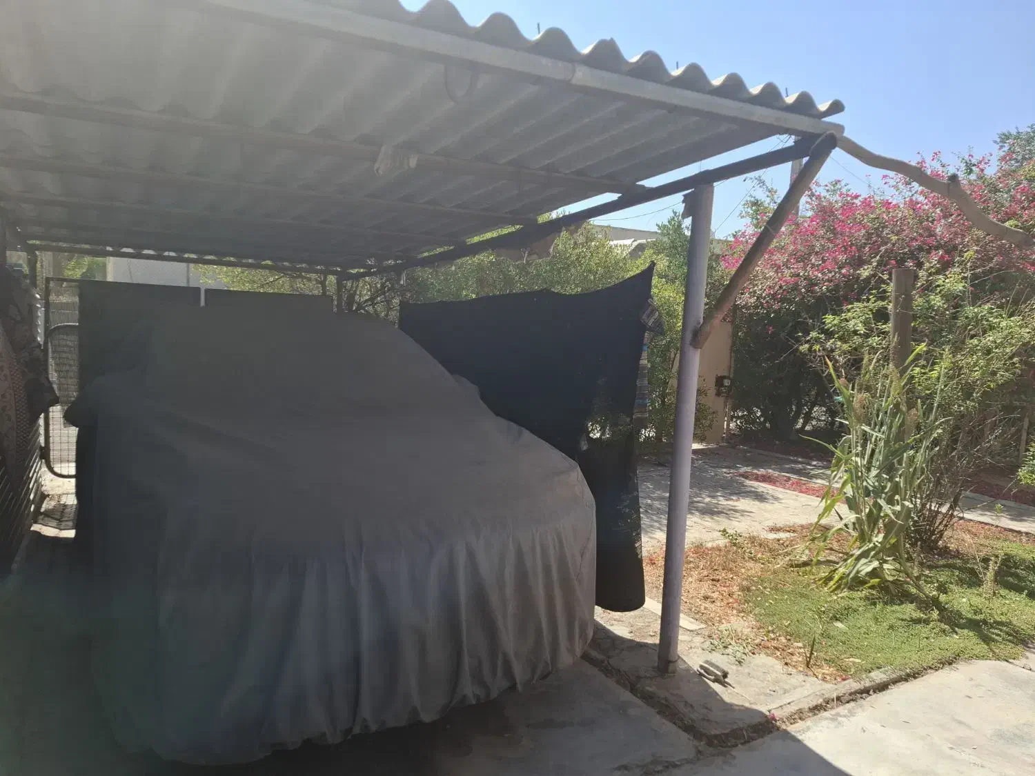 چانگان CS 55 پلاس، مدل ۲۰۲۴ وارداتی|خودرو سواری و وانت|شیراز, فضل‌آباد|دیوار