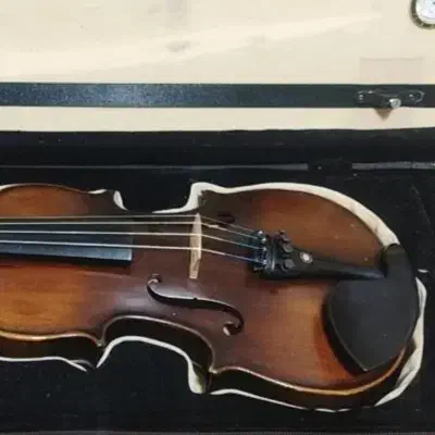 ویلن2/4|ویولن|بومهن, |دیوار