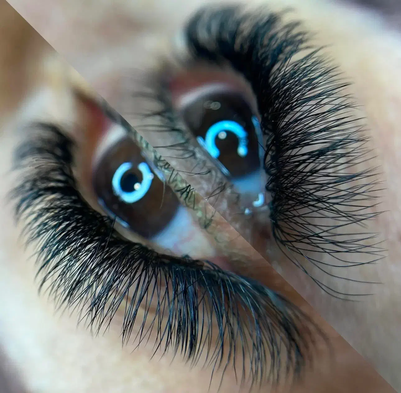 آموزش اکستنشن مژه|خدمات آموزشی|رشت, معلم|دیوار