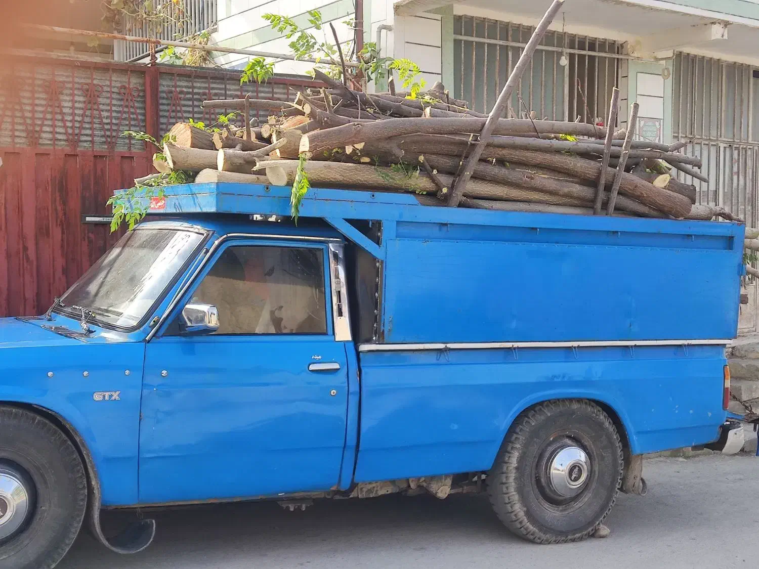 خرید چوب باغی و ساختمانی|خدمات باغبانی و درختکاری|گرگان, |دیوار