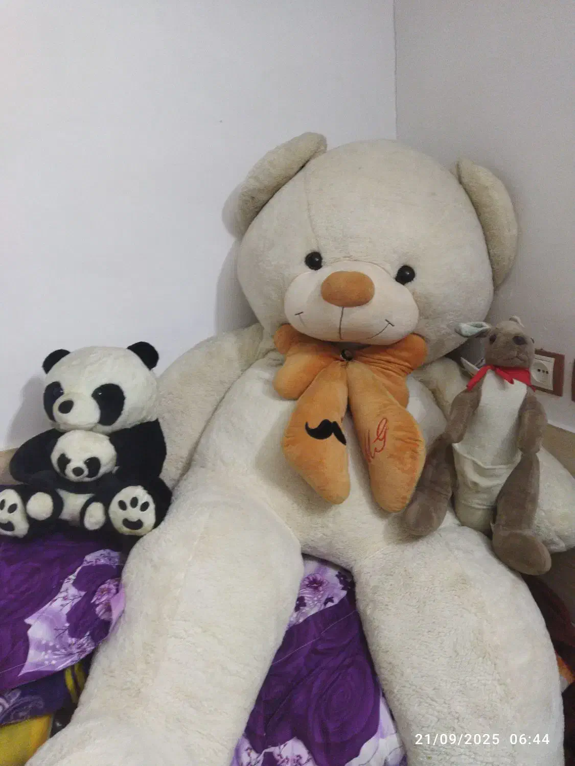 تعداد۵۵عددعروسک سایز مختلف|اسباب‌‌بازی|ورامین, ورامین|دیوار