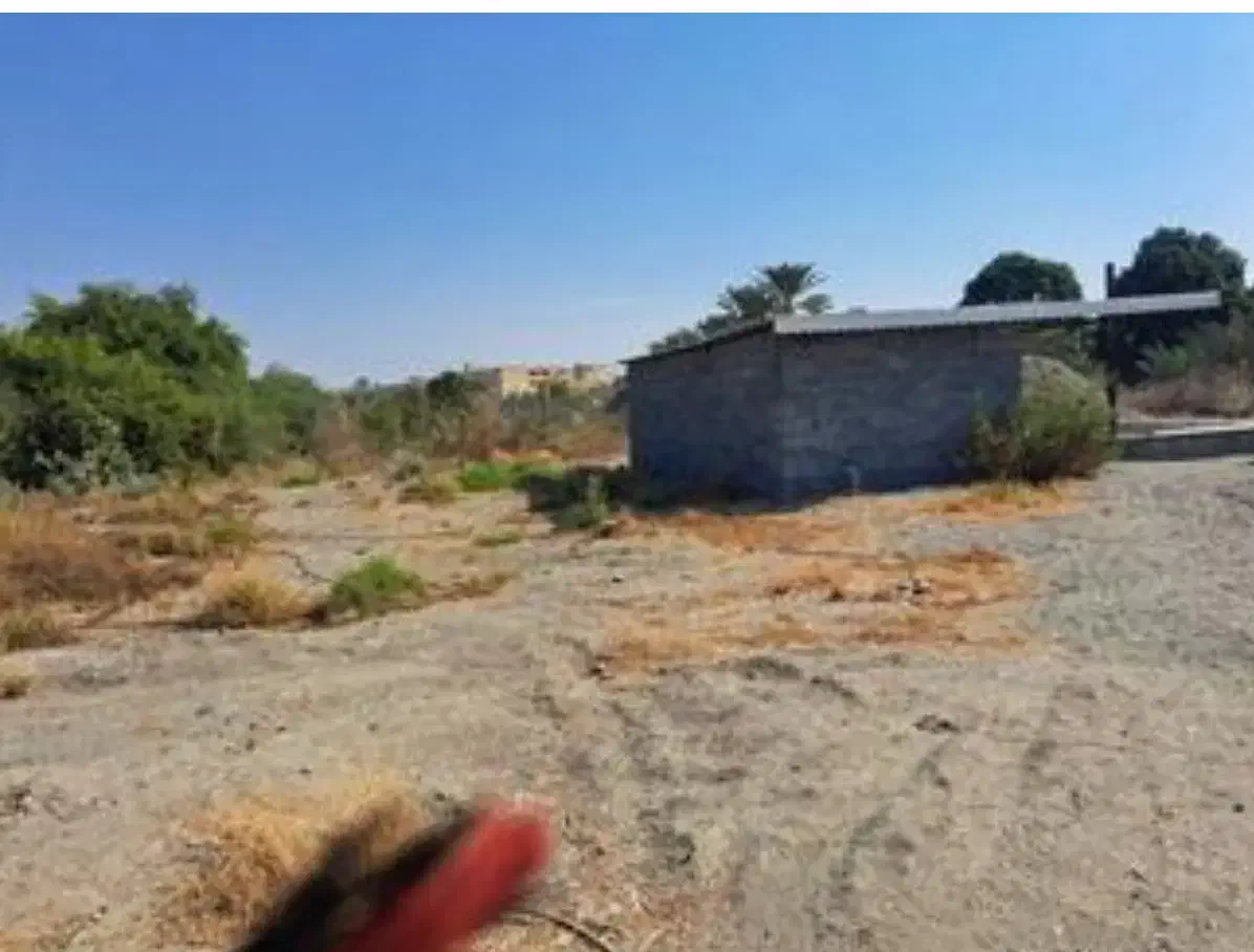 اجازه زمین کشاورزی|اجارهٔ دفتر صنعتی، کشاورزی، تجاری|قلعه قاضی, |دیوار