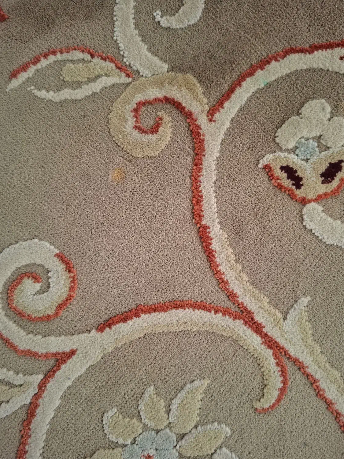 فرش ۱۲ متری|فرش|پاکدشت, پاکدشت (مامازند)|دیوار