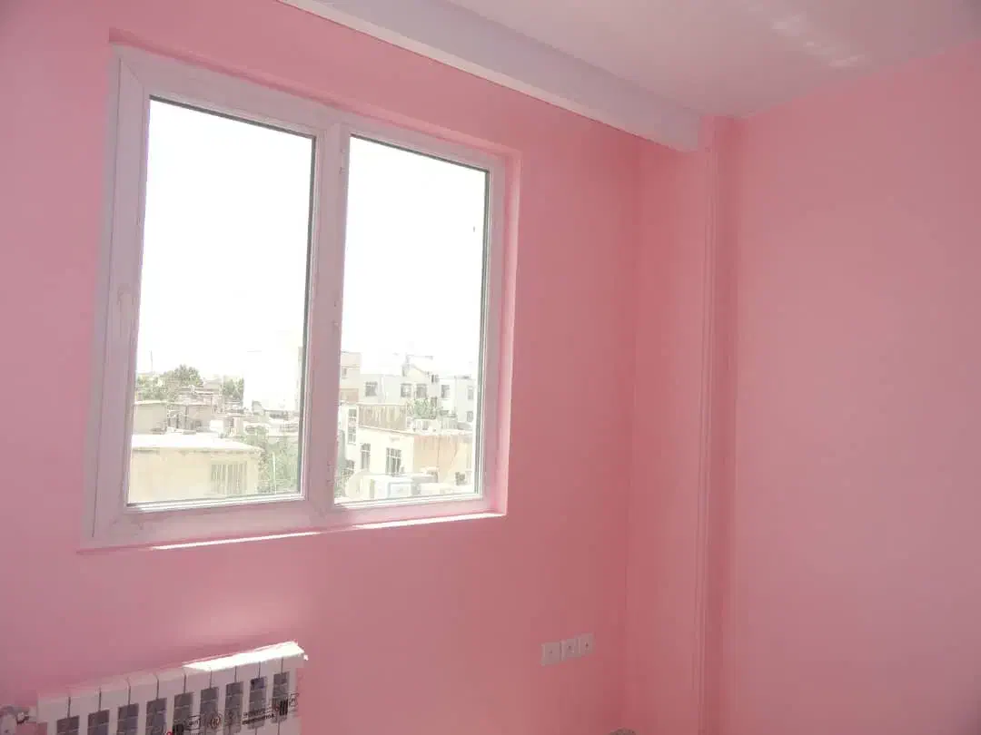 نقاشی ساختمان رنگ آمیزی اقساطی|خدمات پیشه و مهارت|بم, |دیوار