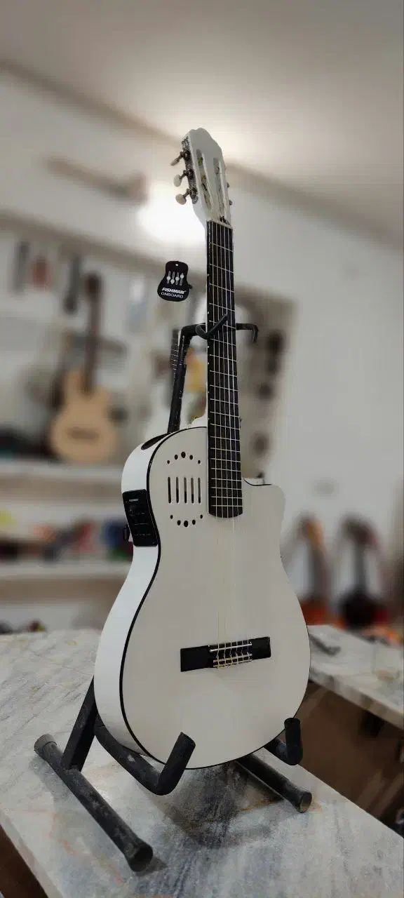 پیش فروش گیتار طرح گودین|گیتار، بیس، امپلیفایر|هشتگرد, هیو|دیوار