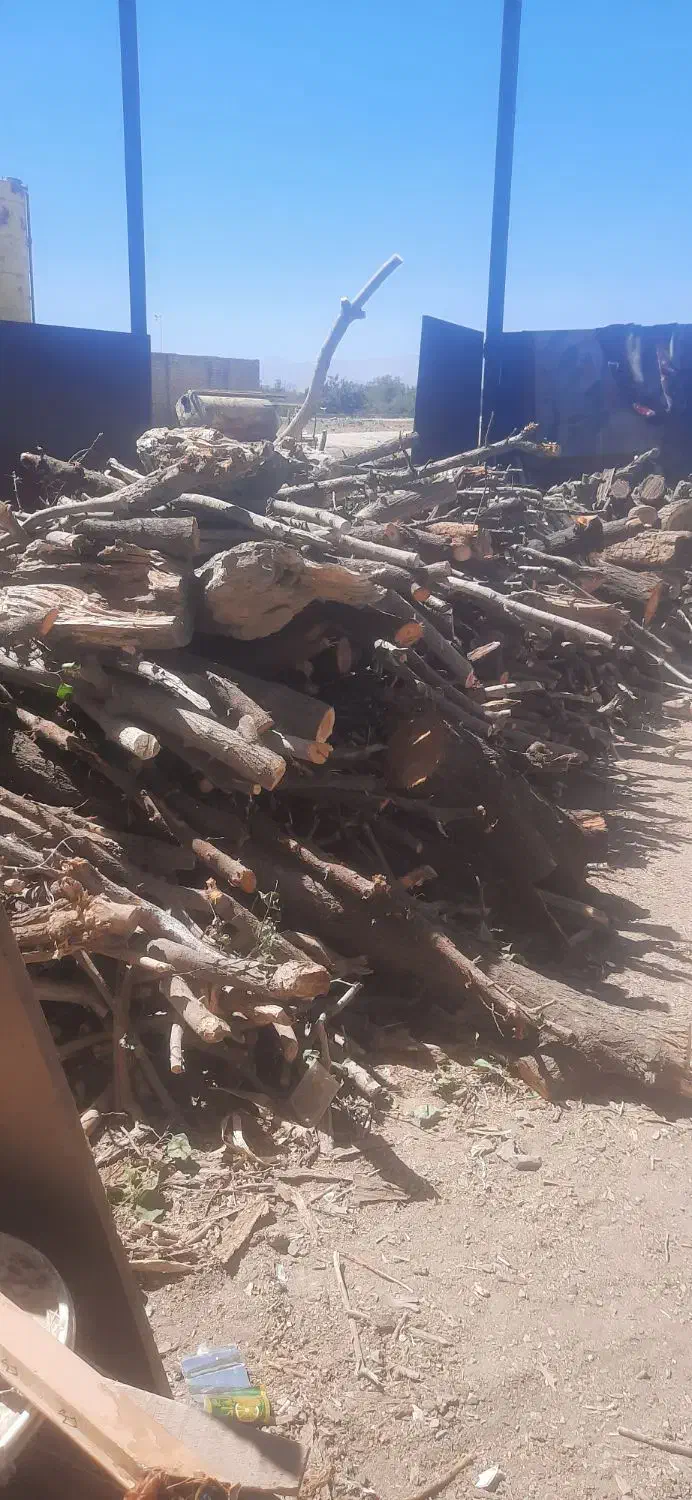 درخت و چوب شما را با بالاترین قیمت نقدی خریداریم|خدمات باغبانی و درختکاری|مشهد, کلاهدوز|دیوار