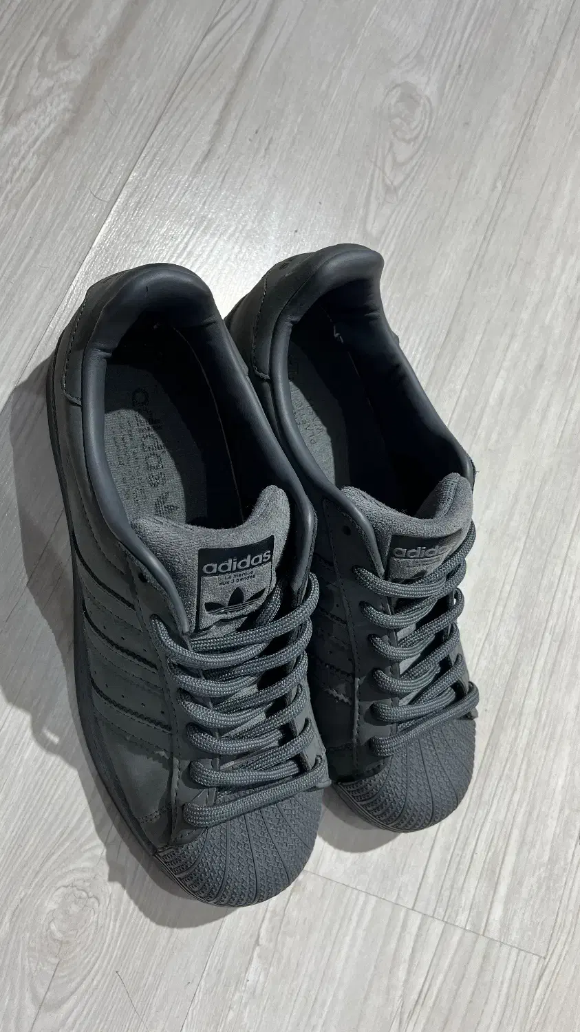 کتونی ادیداس مستر|کیف، کفش، کمربند|شهریار, شهریار|دیوار