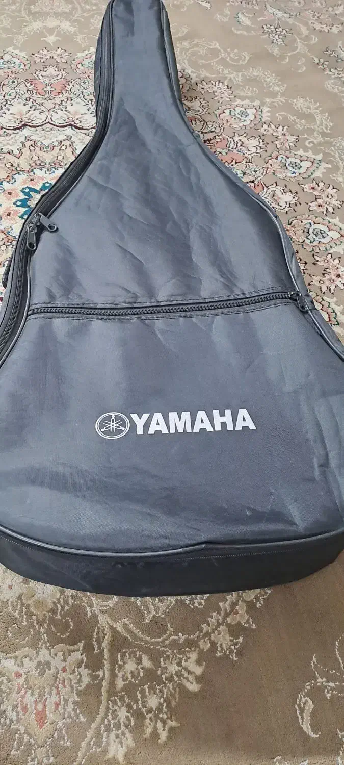 کیس گیتار نو(*)|گیتار، بیس، امپلیفایر|کرج, شاهین‌ویلا|دیوار