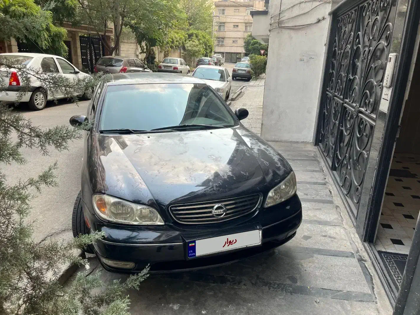 ماکسیما مدل ۸۴|خودرو سواری و وانت|تهران, عباس‌آباد|دیوار