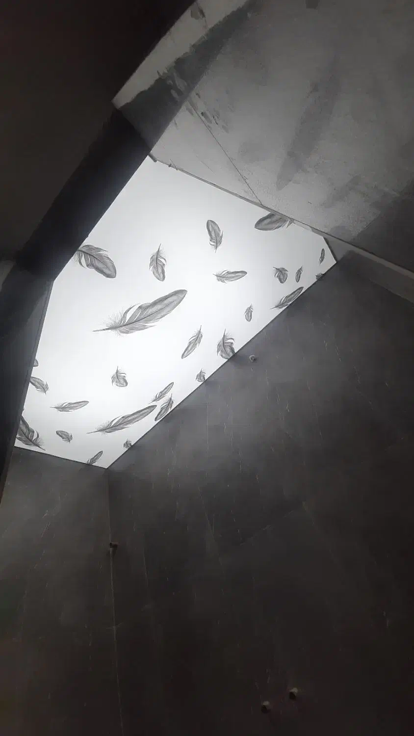 نصب انواع سقف های کشسان و اسمان مجازی|مصالح و تجهیزات ساختمان|شهر بابک, |دیوار