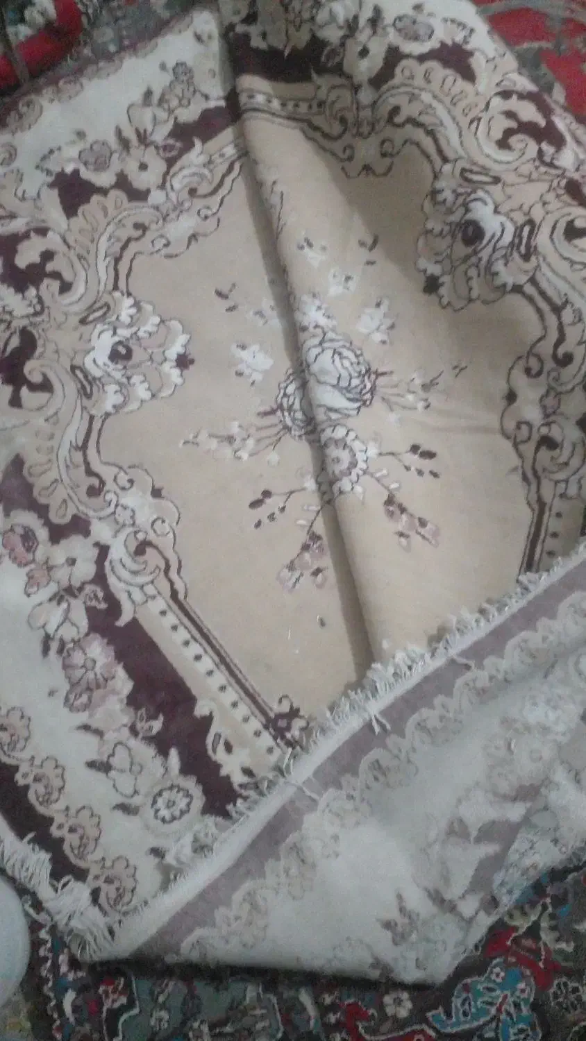 فرش|فرش|زهک, |دیوار