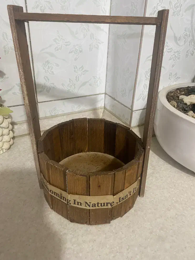 سبد چوبی تزئینی نو|صنایع دستی و سایر لوازم تزئینی|تهران, بازار|دیوار