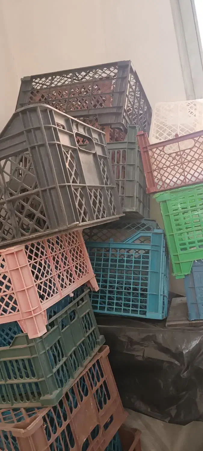 سبد های میوه|ظروف نگهدارنده، پلاستیکی، یکبارمصرف|وحیدیه, |دیوار