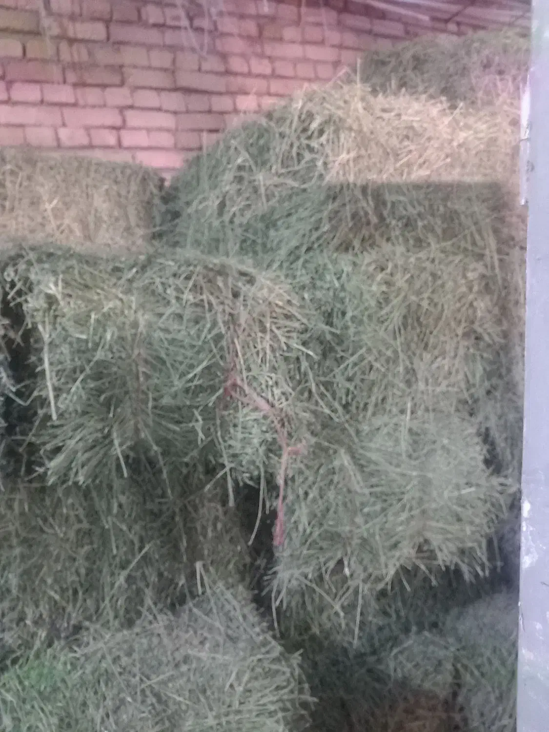 کاه|حیوانات مزرعه|گل تپه, |دیوار