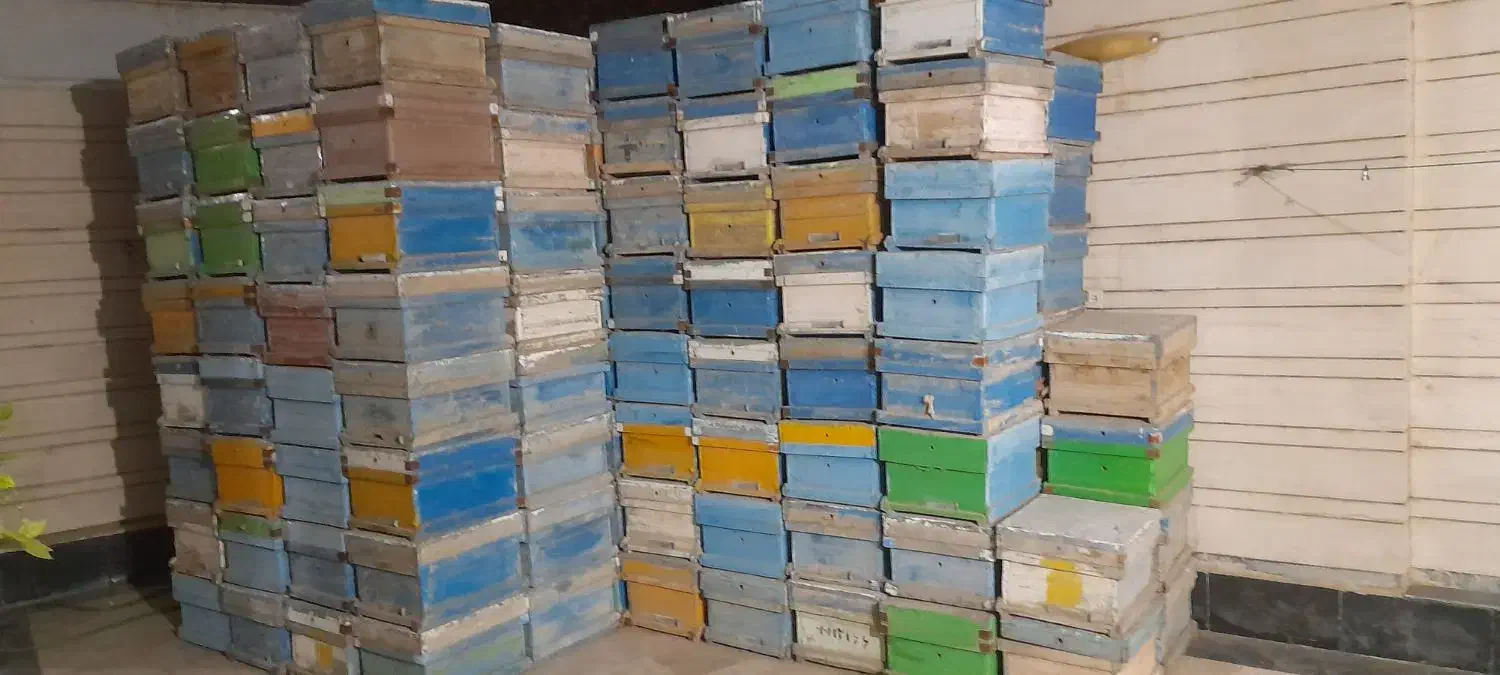 فروش فوری تعدادکندو|عمده‌فروشی|خمینی‌شهر, |دیوار