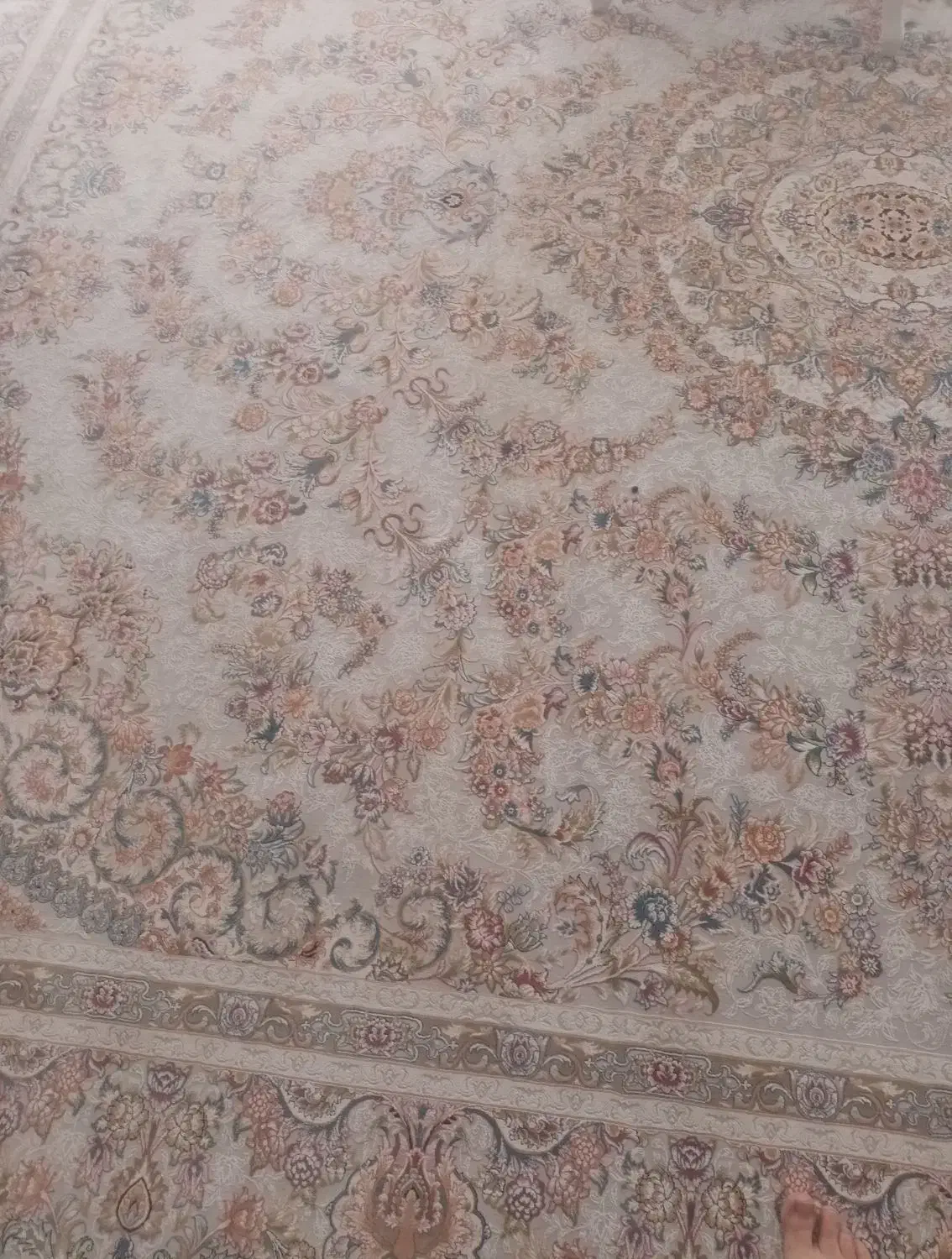 قالی ۱۲۰۰ شانه|فرش|رفسنجان, |دیوار