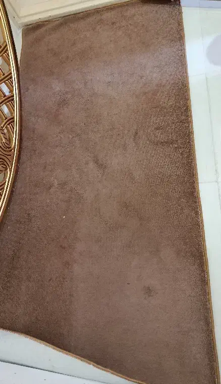 موکت پالاز کناره|موکت|قزوین, |دیوار