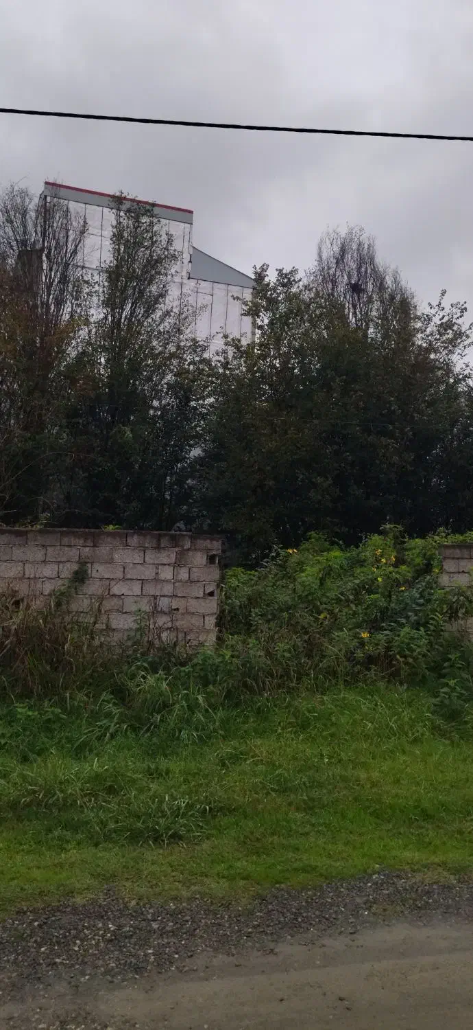 زمین میدان جمهوری خیابان توحید|فروش زمین و ملک کلنگی|لاهیجان, جمهوری|دیوار