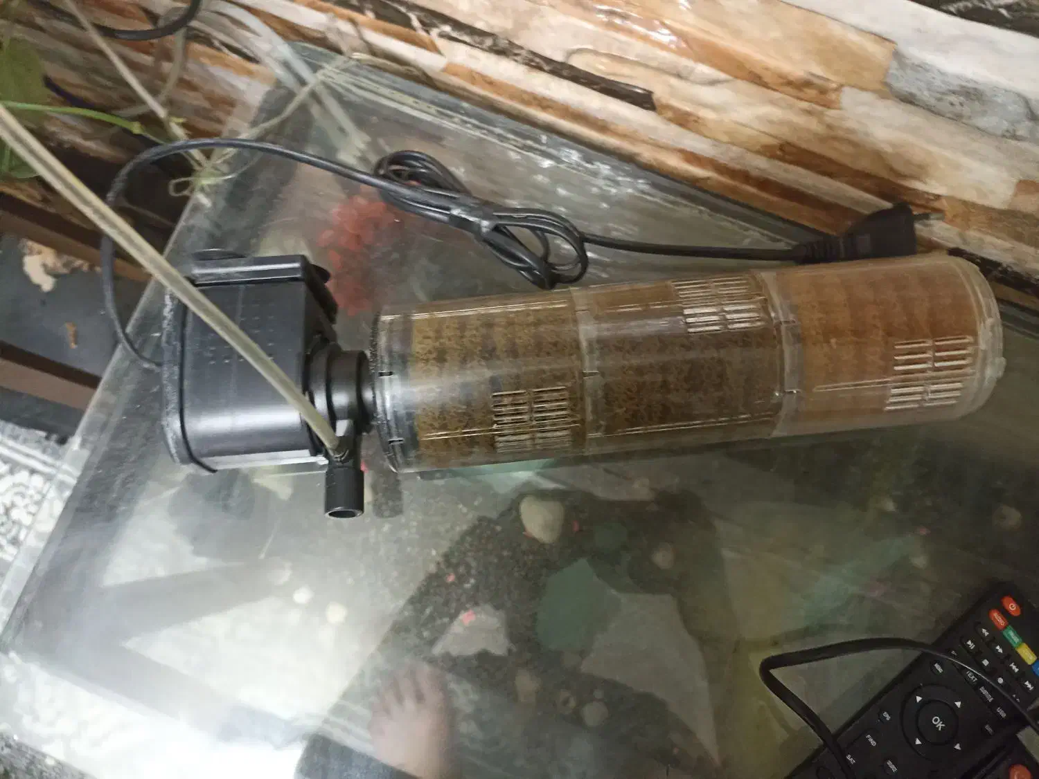 آکواریوم|لوازم جانبی حیوانات|پاکدشت, پاکدشت (مامازند)|دیوار