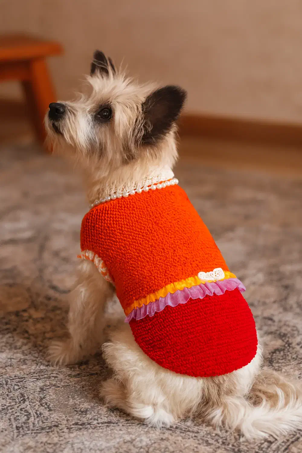 فروش تک و عمده لباس حیوانات|لوازم جانبی حیوانات|تهران, زعفرانیه|دیوار