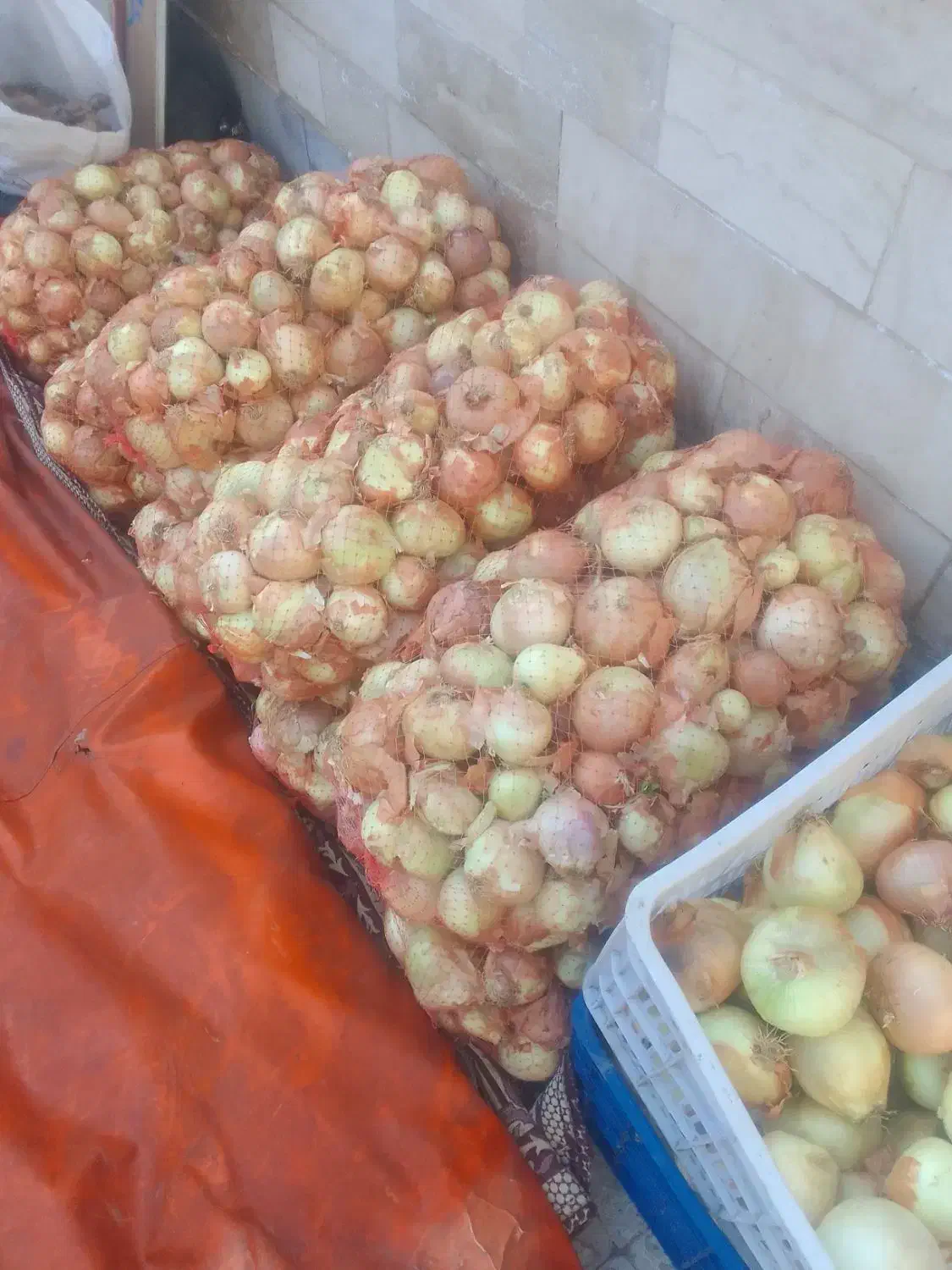 پیاز اصفهان|عمده‌فروشی|محمدیه-قزوین, |دیوار