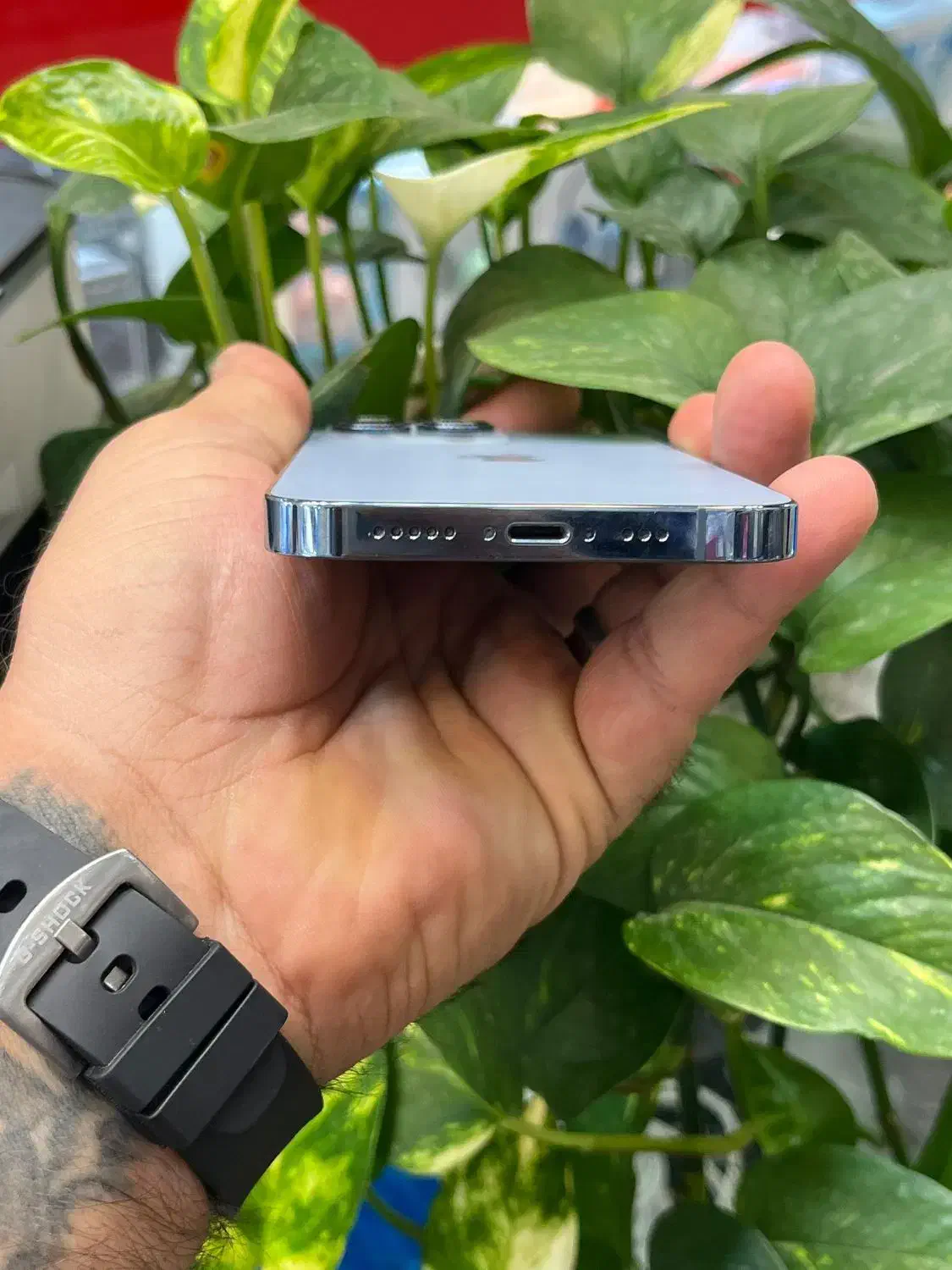 iphone13proLLA|موبایل|شیراز, گود عربان|دیوار