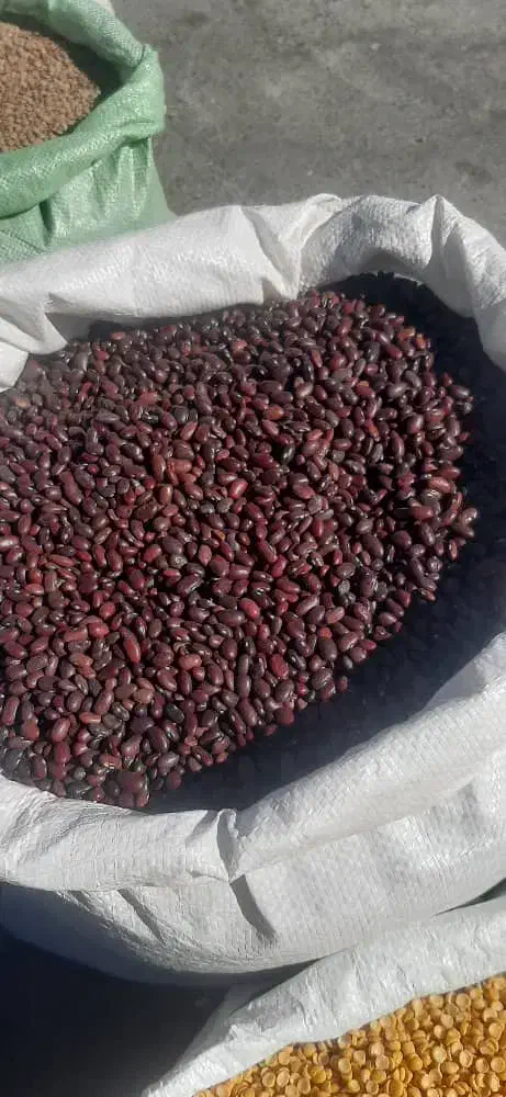 لوبیا تنظیم بازار|خوردنی و آشامیدنی|هرسین, |دیوار