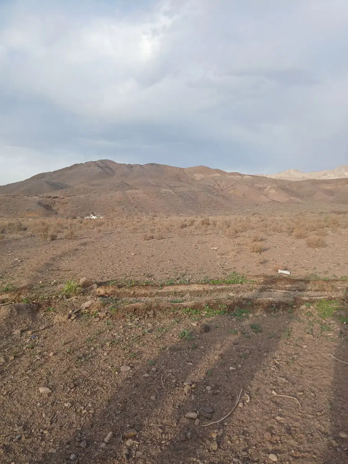 فروش زمین مسکونی راین|فروش زمین و ملک کلنگی|راین, |دیوار