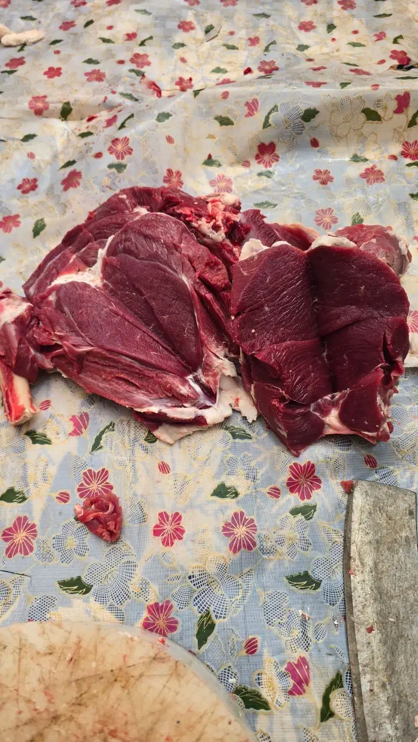 گوشت گوسفندی کشتار روز|خوردنی و آشامیدنی|نسیمشهر, |دیوار