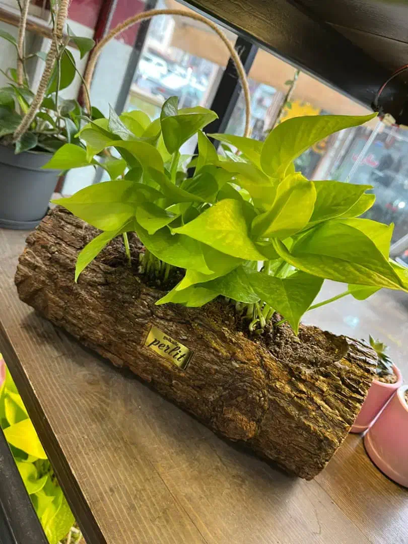 فروشنده دستفروشی|استخدام بازاریابی و فروش|رشت, بازار|دیوار