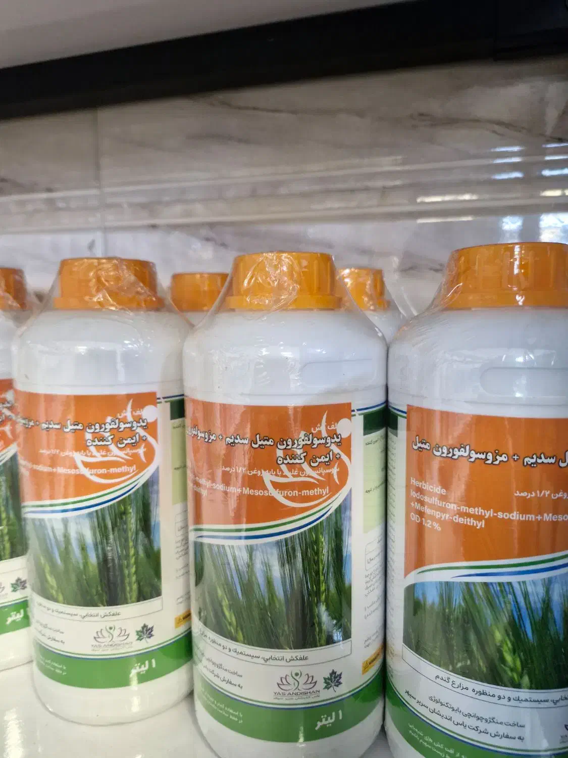 سم اتلانتیس|خدمات باغبانی و درختکاری|امیدیه, |دیوار