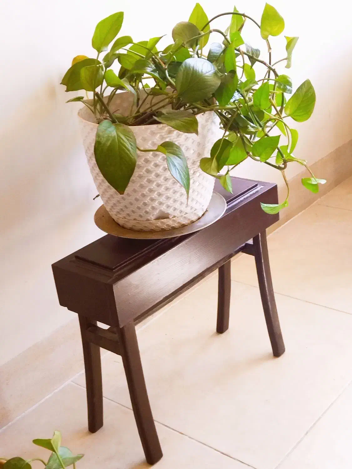 زیر گلدانی|حراج|اصفهان, جلالیه|دیوار