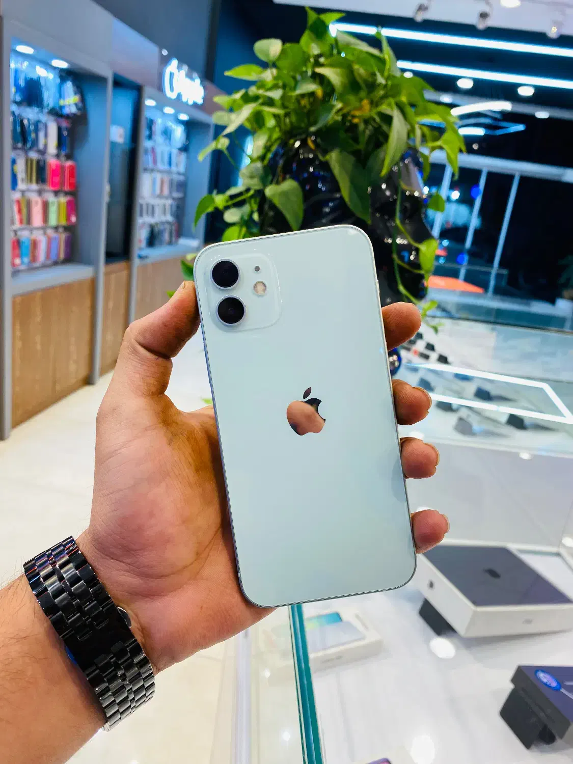 Iphone 12  128 g سبز|موبایل|یزد, |دیوار