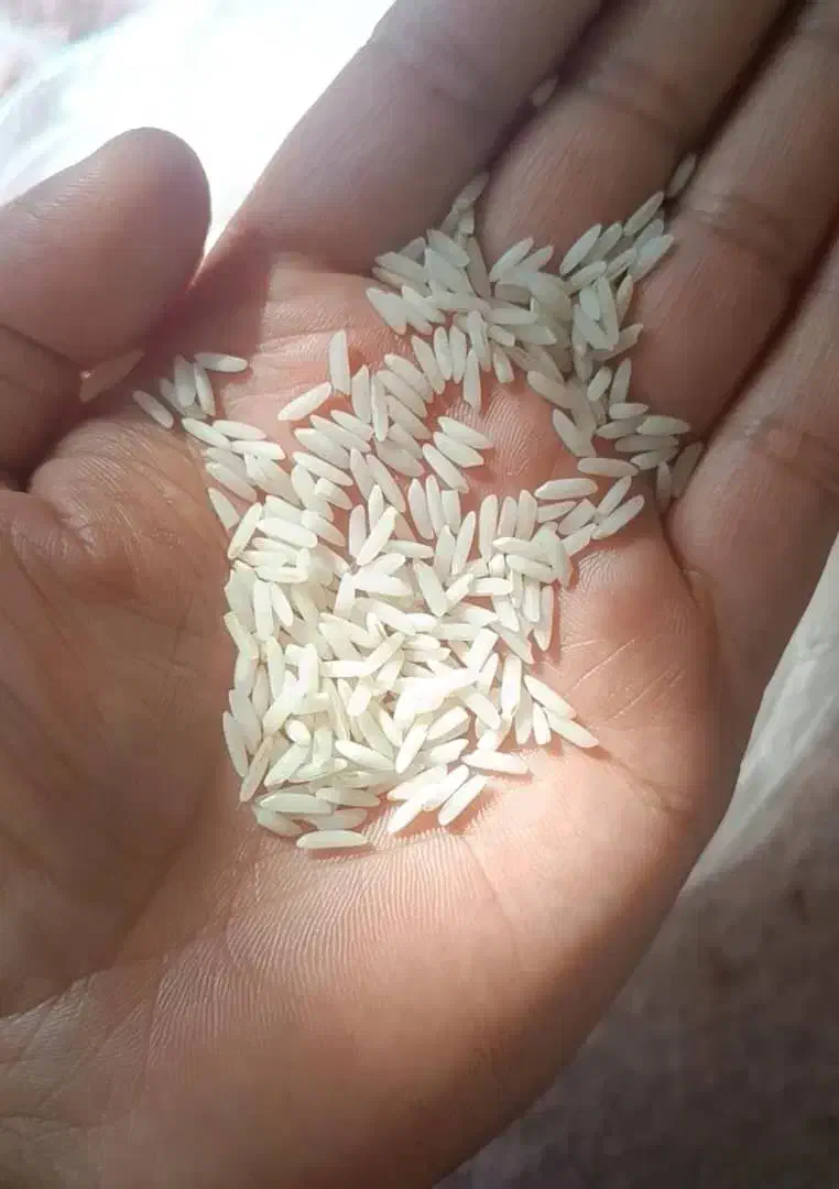 برنج هاشمی درجه ۱|خوردنی و آشامیدنی|رشت, جماران|دیوار