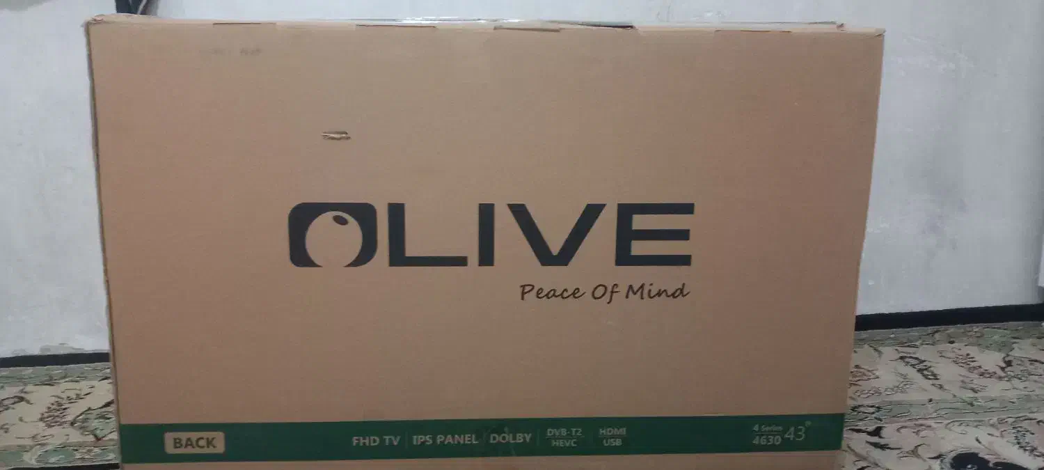 تلویزیون دلایو|تلویزیون و پروژکتور|میاندوآب, |دیوار