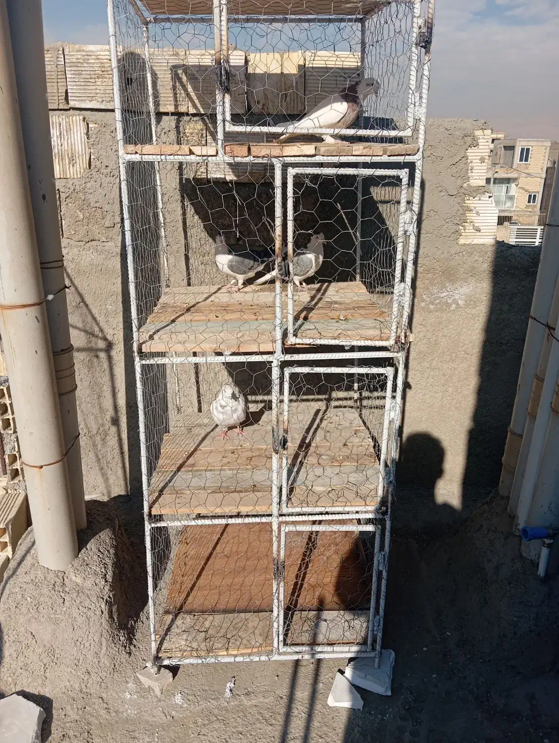 قفس پرنده کبوتر|لوازم جانبی حیوانات|ابریشم, |دیوار