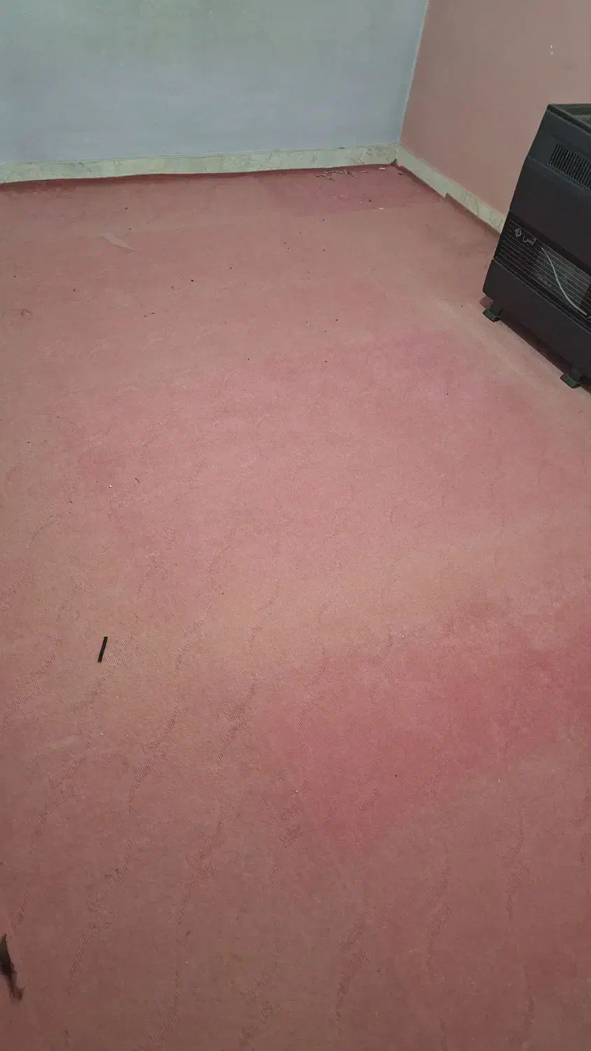 موکت کار کرده|موکت|اردبیل, |دیوار