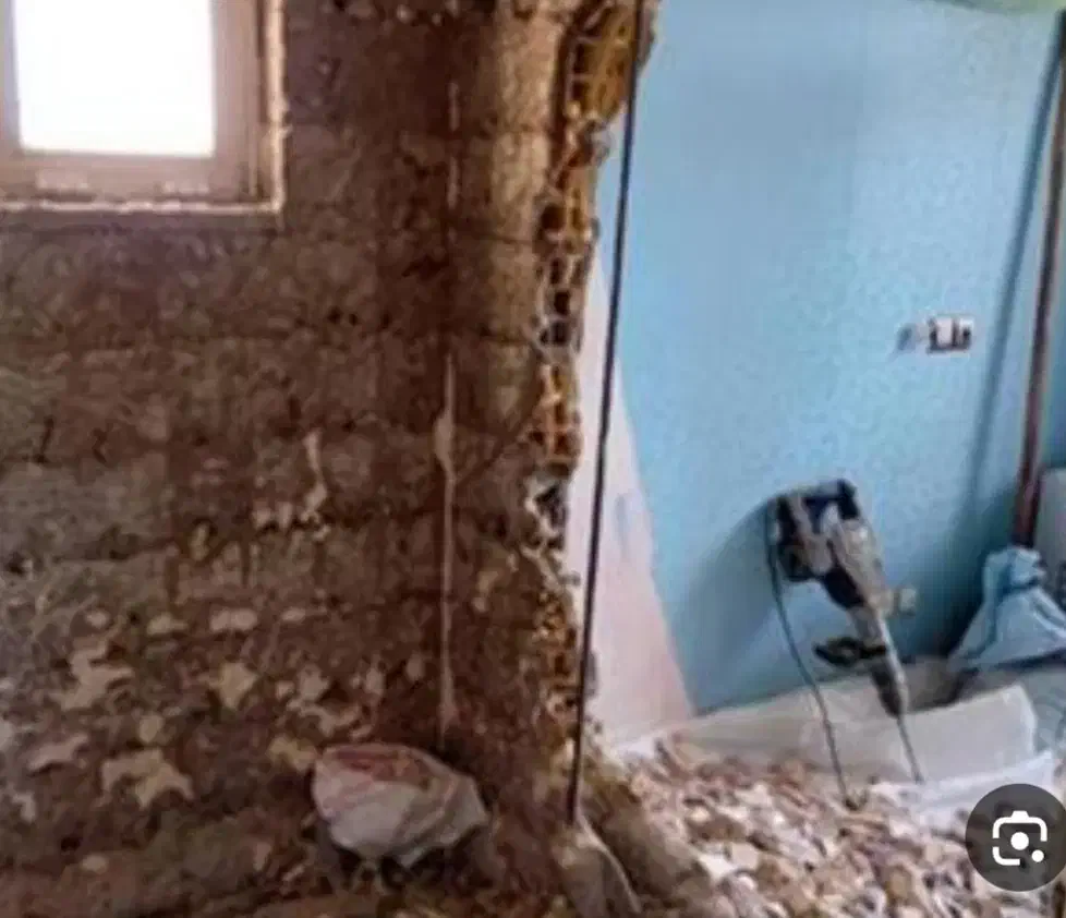 تخرب کاری|خدمات پیشه و مهارت|کاشان, پشت شهربانی|دیوار