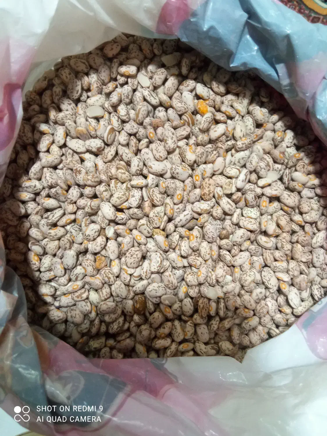 لوبیا دولتی حدود یک تن|خوردنی و آشامیدنی|سراب, |دیوار