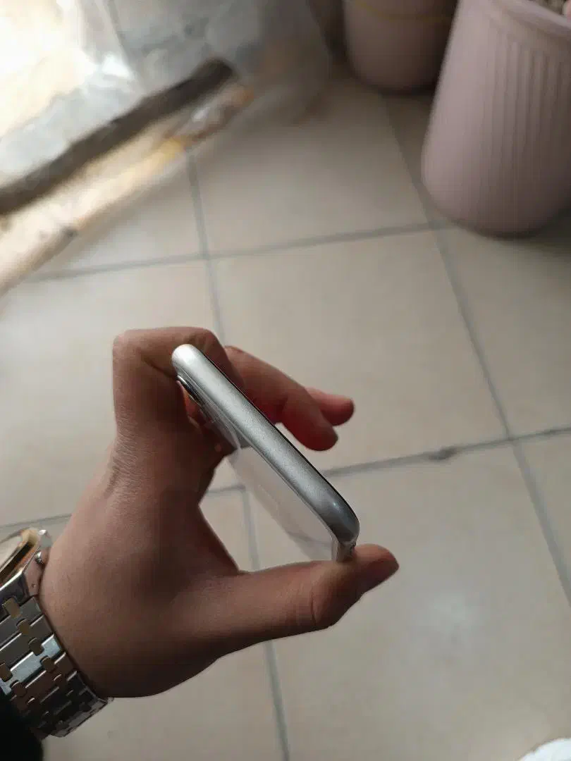 ایفون ۱۱|موبایل|پردیس, فاز ۳|دیوار