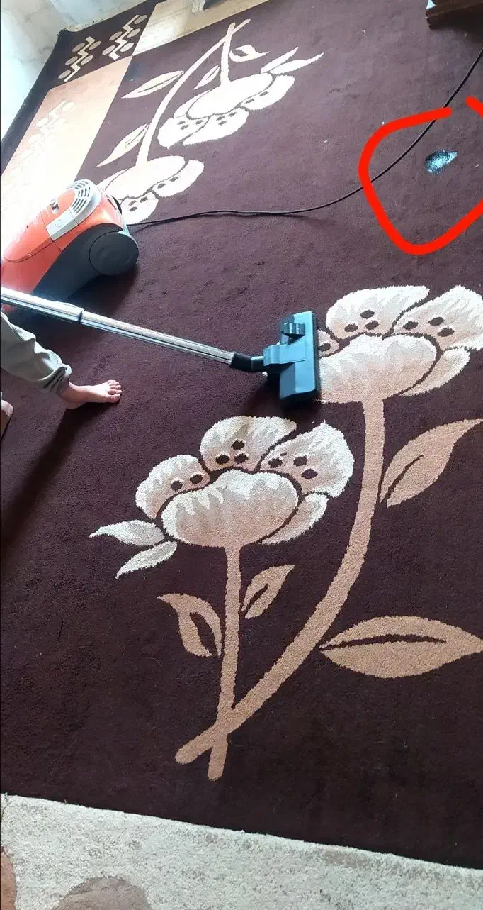 گلیم فرش ۱۲متری|فرش|فسا, |دیوار