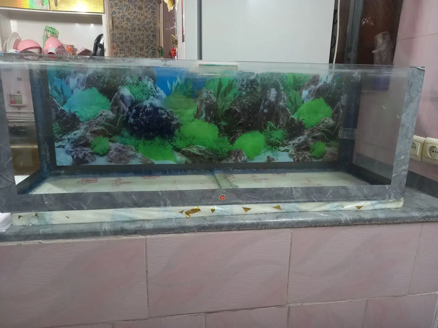 آکواریوم.وتجهیزات|ماهی|شیراز, پودنک|دیوار