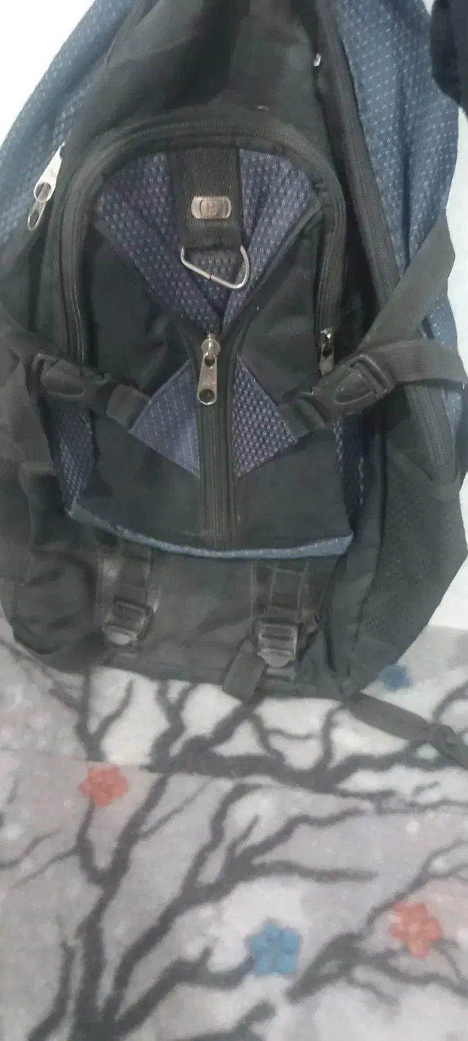 کوله پشتی|کیف، کفش، کمربند|زابل, |دیوار